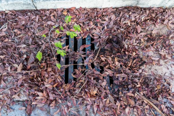 Cost of Yard Drain Unclogging in Downingtown