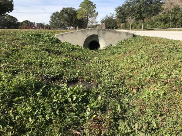 Cost of Swale Drainage Service in Downingtown